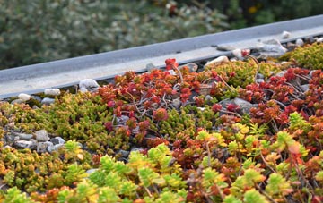 the cost of Ellel green roof installation