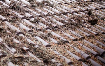 Ellel roof cleaning companies