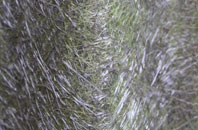 Ellel fibreglass roof work