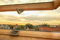 rated Ellel roof window companies